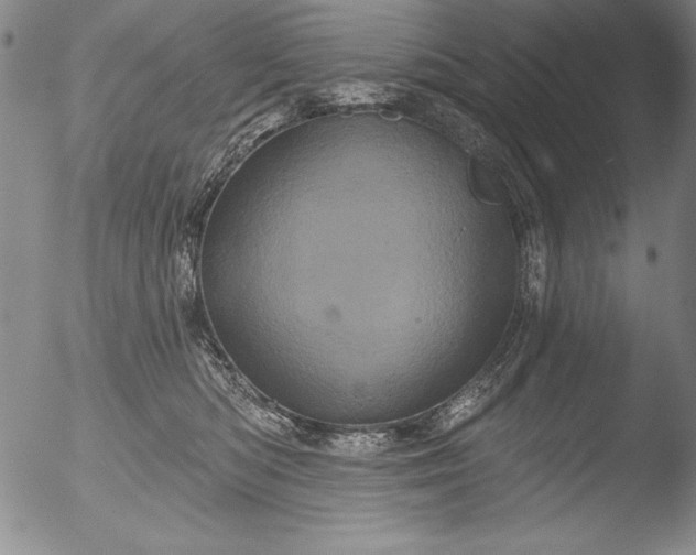 X0000051860422200507081827