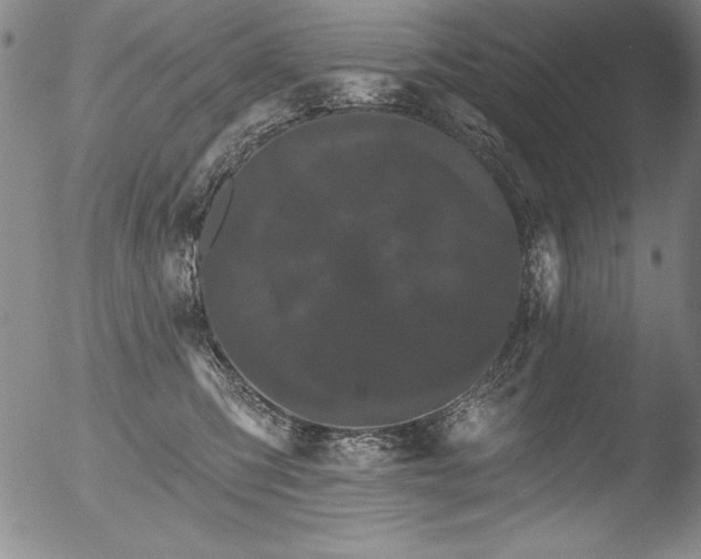 X0000051860423200507081827