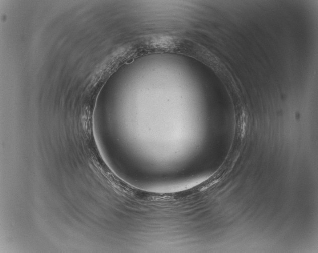 X0000051860424200507081827