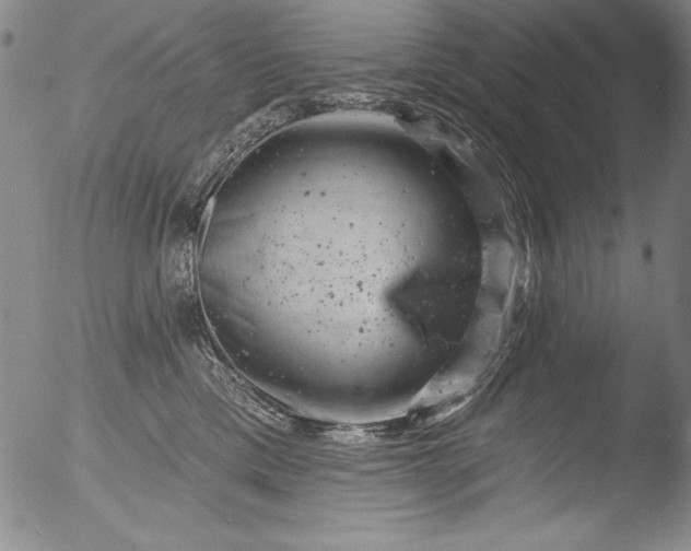 X0000051860425200507081827