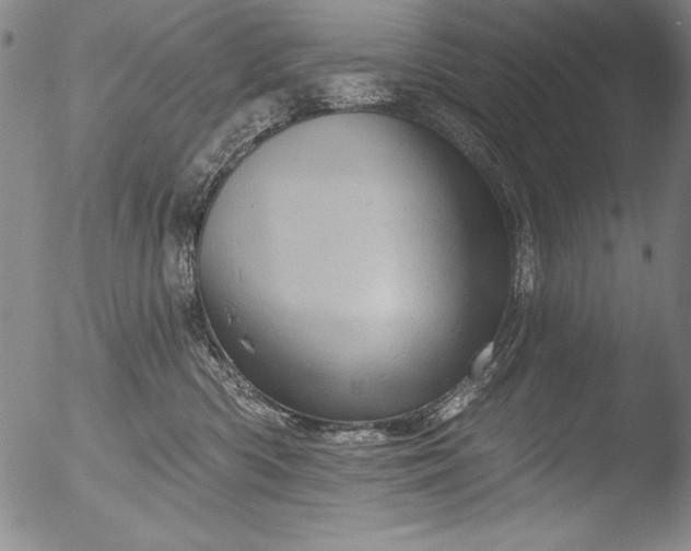 X0000051860426200507081827