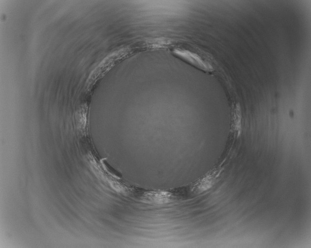 X0000051860427200507081827