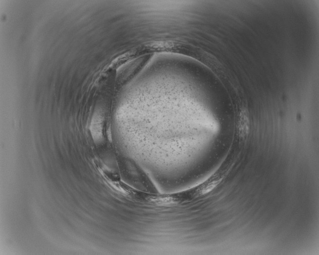 X0000051860428200507081827