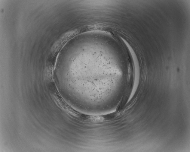 X0000051860429200507081827