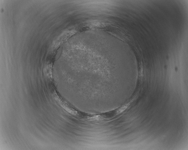 X0000051860430200507081827