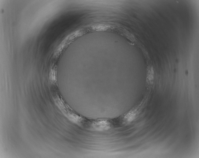 X0000051860431200507081827