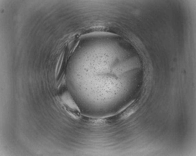 X0000051860432200507081827