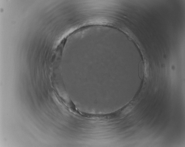 X0000051860434200507081826