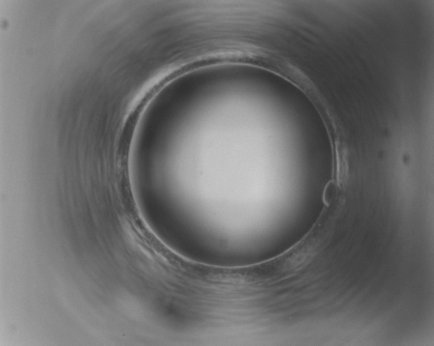 X0000051860435200507081826