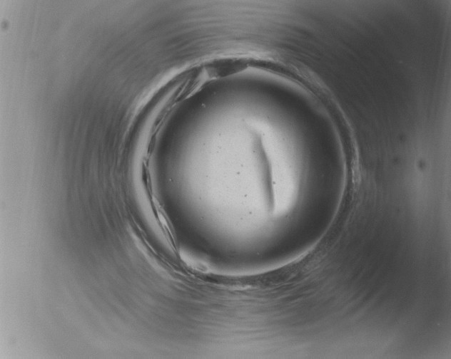 X0000051860436200507081826