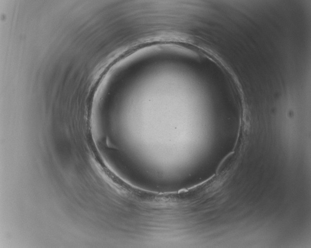 X0000051860437200507081826