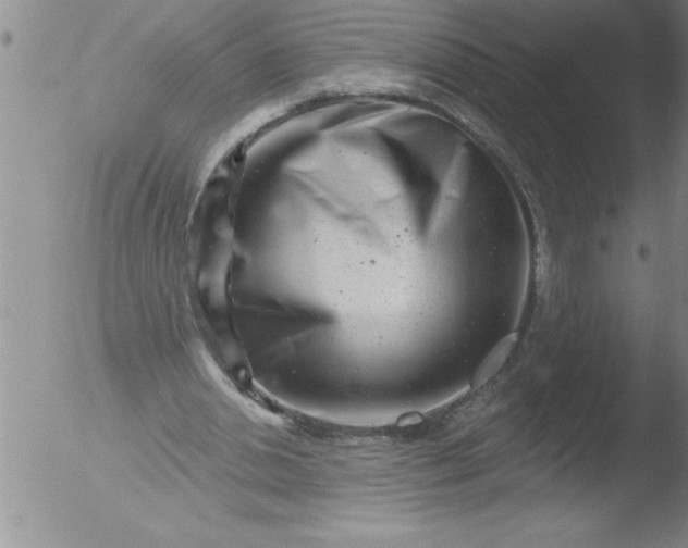 X0000051860438200507081826