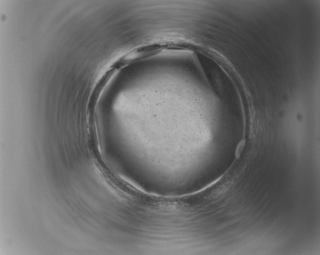 X0000051860439200507081826