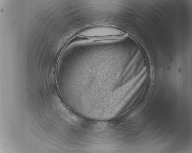 X0000051860441200507081826