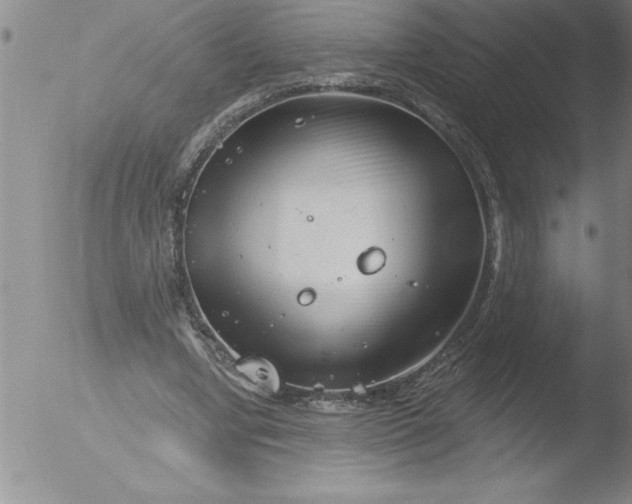 X0000051860442200507081826