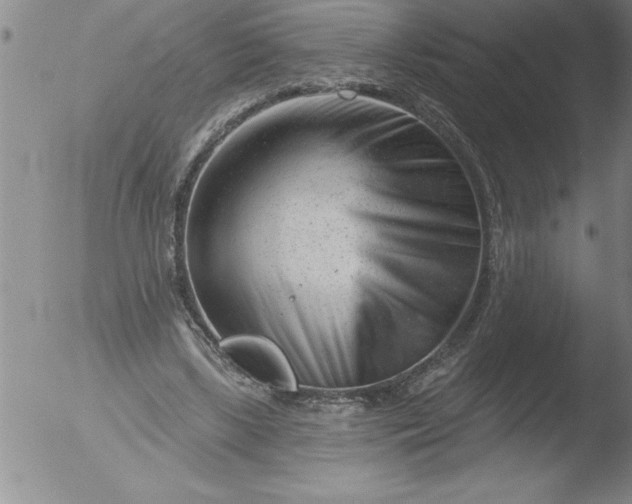 X0000051860443200507081827