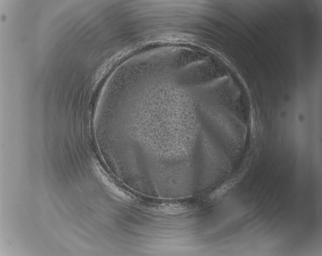 X0000051860445200507081827