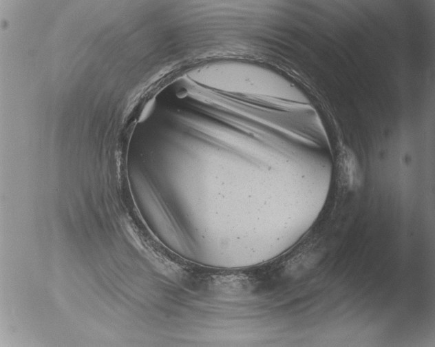 X0000051860446200507081827