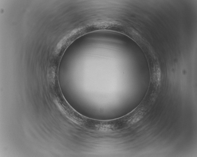 X0000051860448200507081827