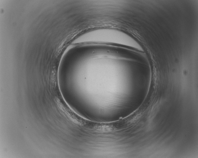 X0000051860449200507081827