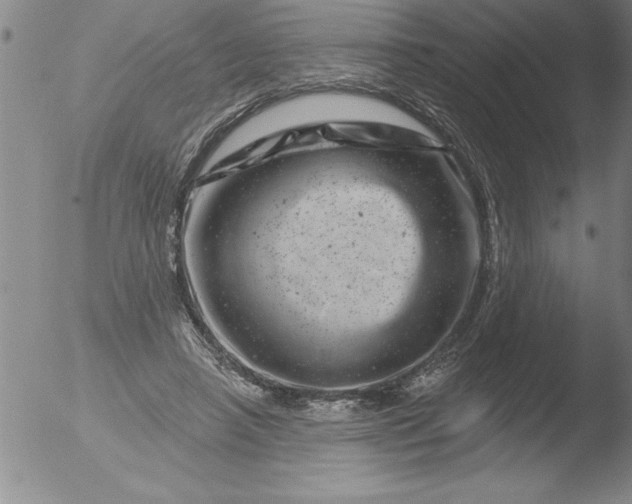 X0000051860450200507081827