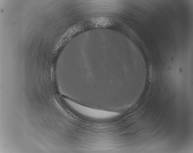 X0000051860451200507081827