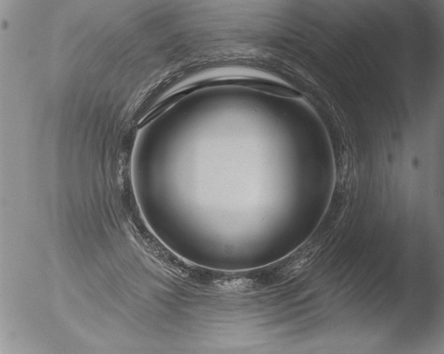 X0000051860452200507081827