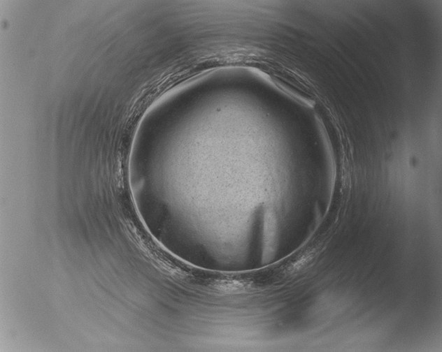 X0000051860453200507081827