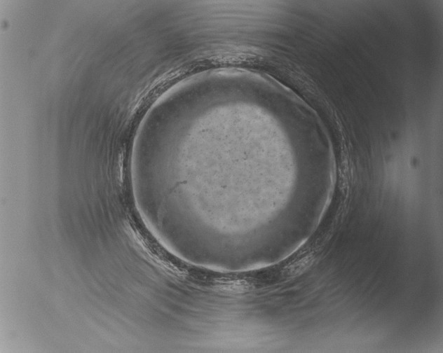 X0000051860454200507081827