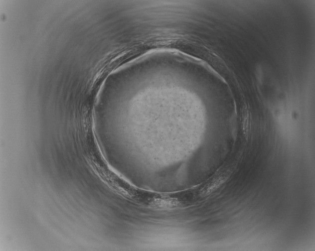 X0000051860455200507081827