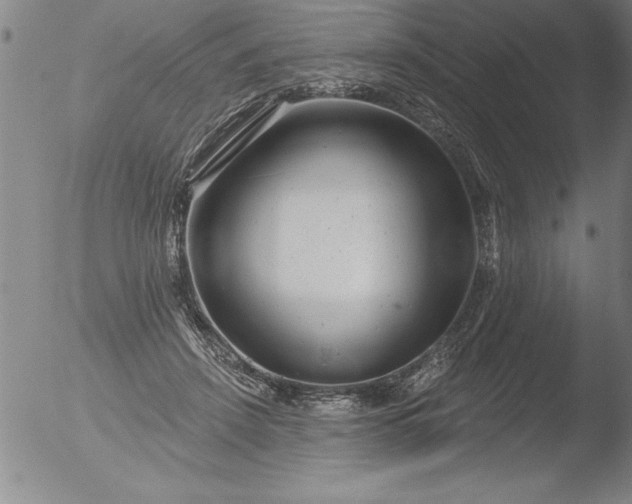 X0000051860456200507081827