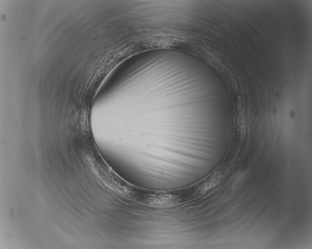 X0000051860459200507081827