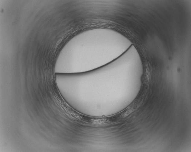 X0000051860461200507081827