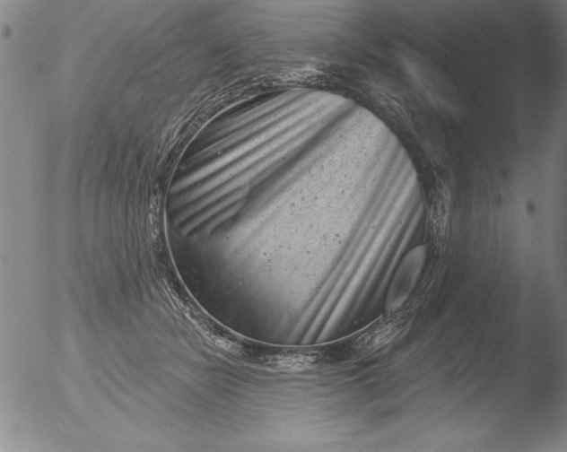 X0000051860462200507081827