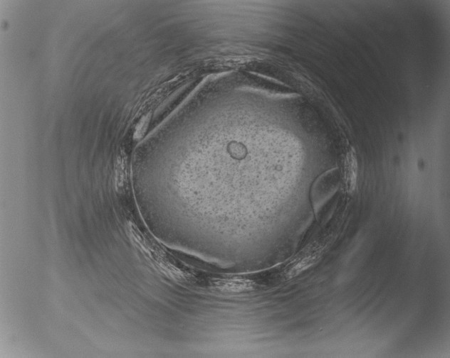 X0000051860463200507081827