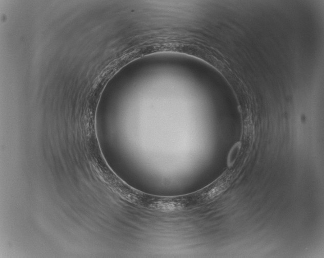 X0000051860464200507081827