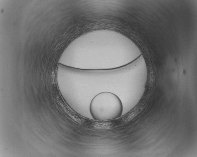 X0000051860465200507081827