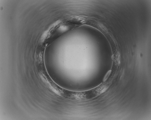 X0000051860466200507081827