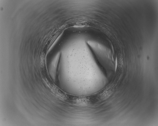 X0000051860468200507081827