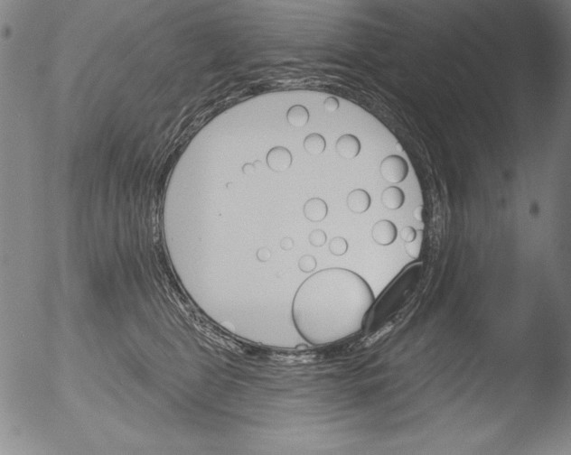 X0000051860469200507081827