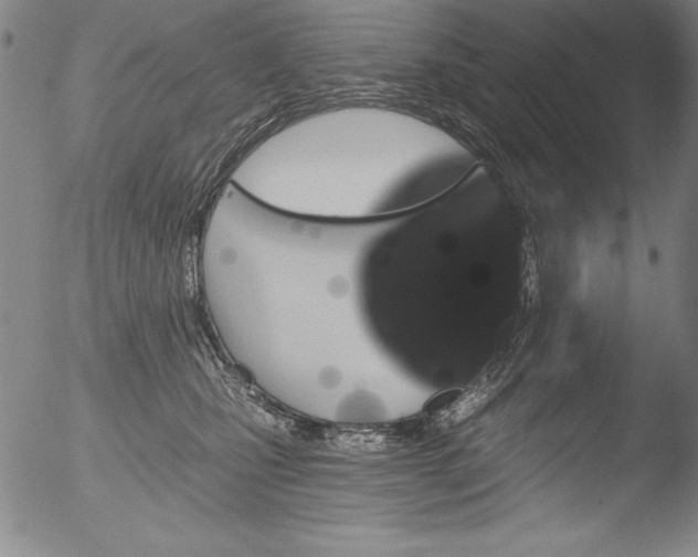 X0000051860471200507081827