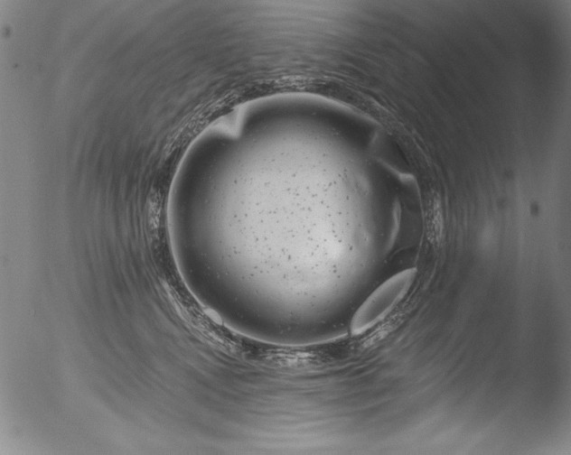 X0000051860472200507081827