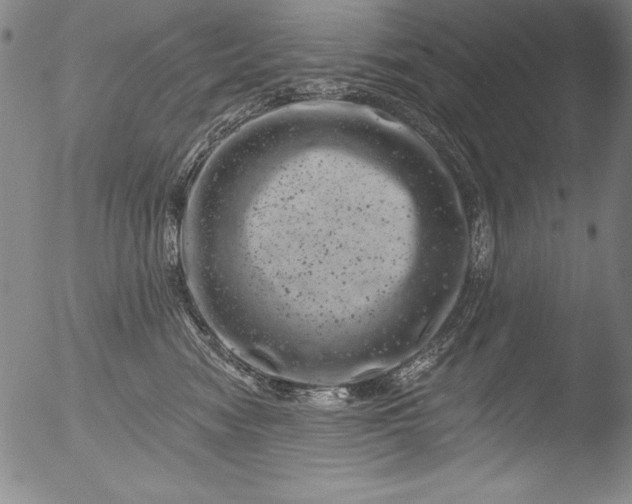 X0000051860474200507081827