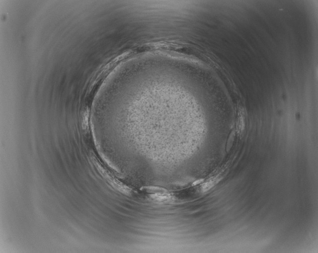 X0000051860477200507081827