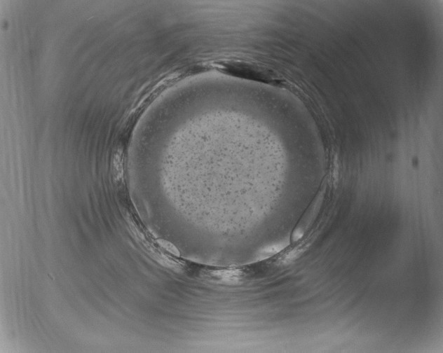 X0000051860478200507081827