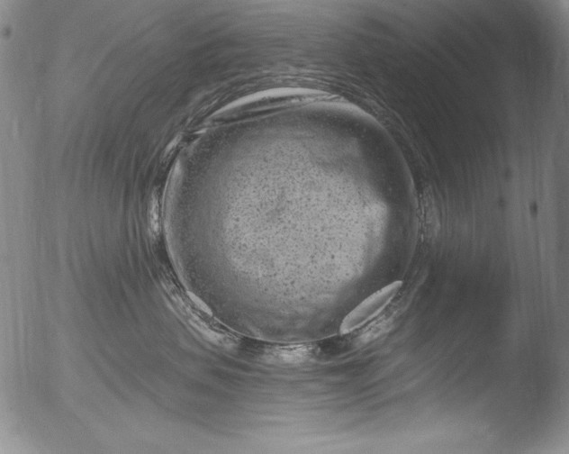 X0000051860479200507081827