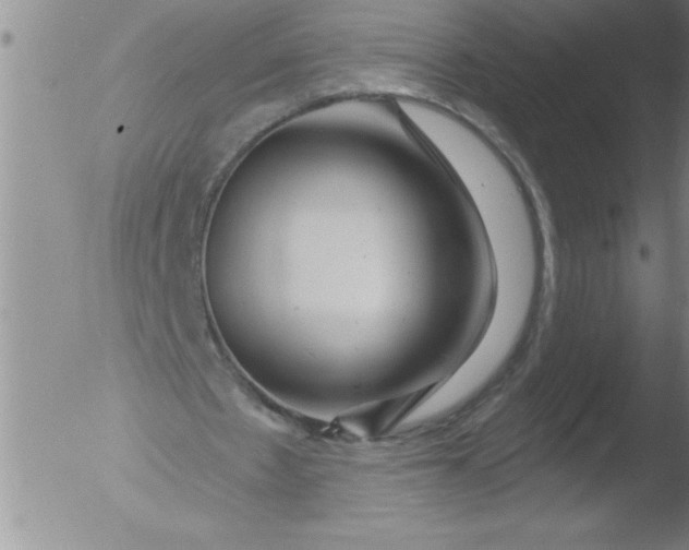 X0000051860481200507081826