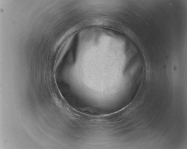 X0000051860482200507081826