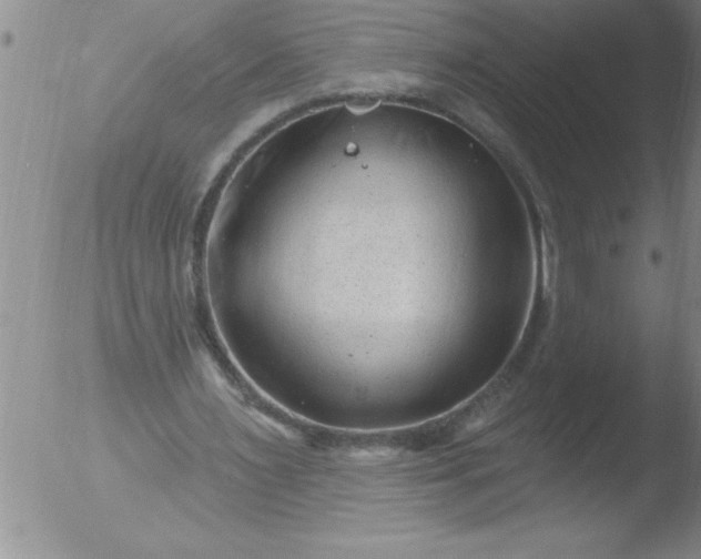 X0000051860483200507081826