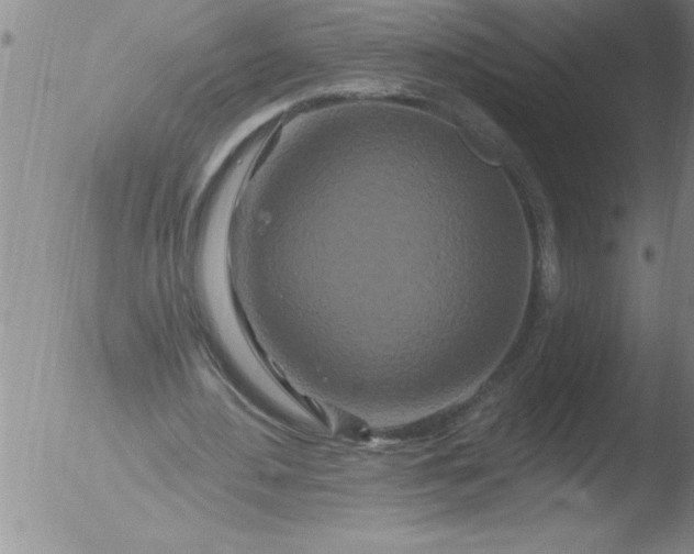 X0000051860484200507081826